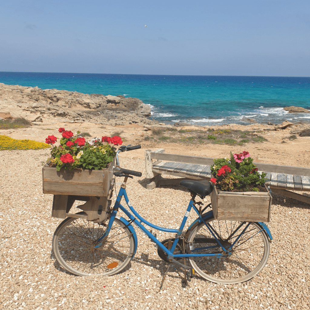 Recorrer Formentera en bici